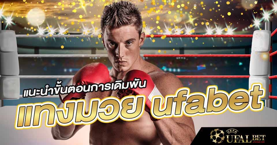 แทงมวยออนไลน์ ufabet
